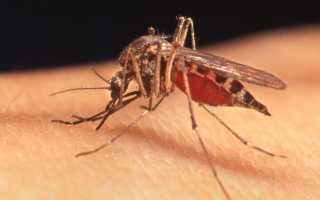 Малярия это вирус