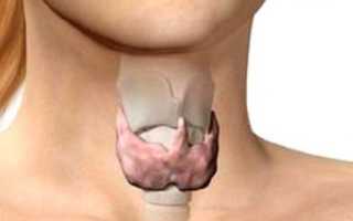 Гипоплазия щитовидной железы – что это такое и как лечить?