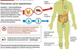 Сальмонеллез, что это такое? Симптомы и схема лечения