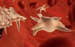 Почему тромбоциты в крови понижены, что это значит?
