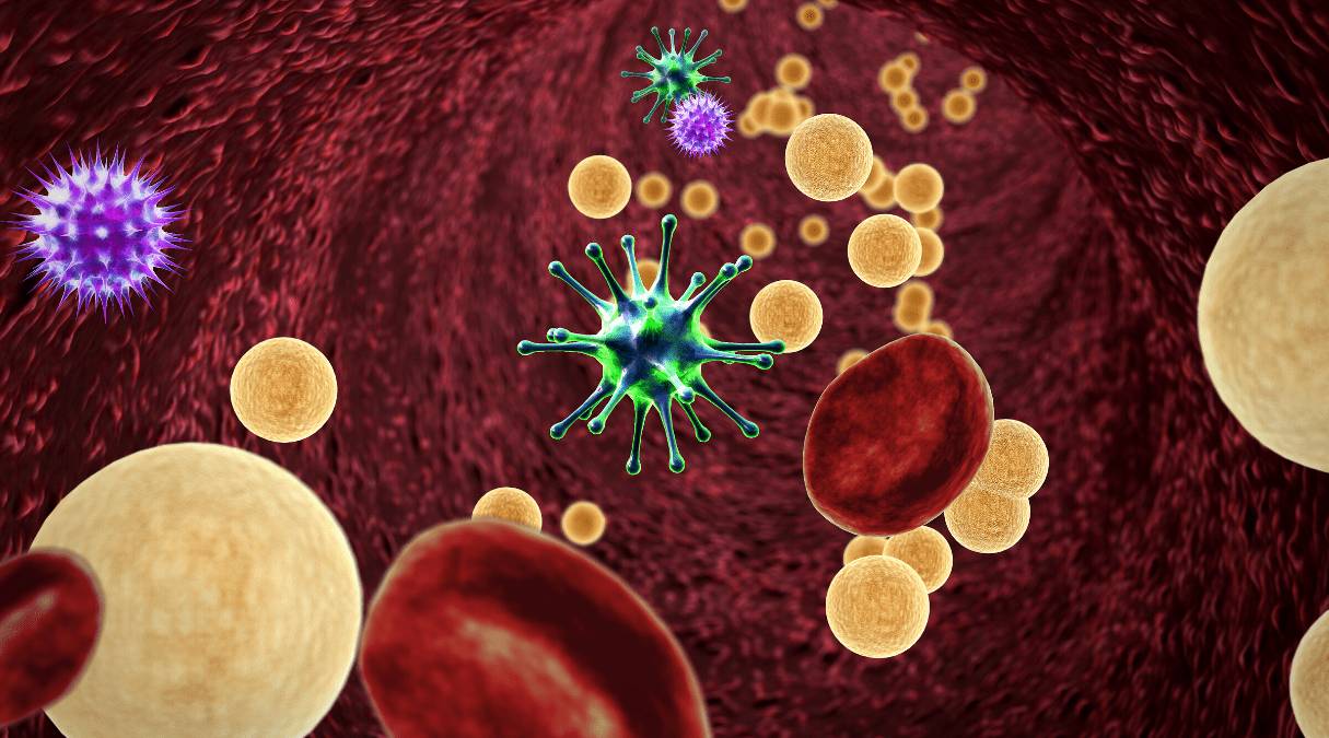 Соф + Лед действие Механизм действия Софосбувира и Ледипасвира