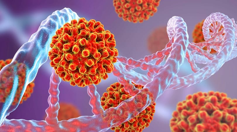 В чем сходство ВИЧ и коронавируса?