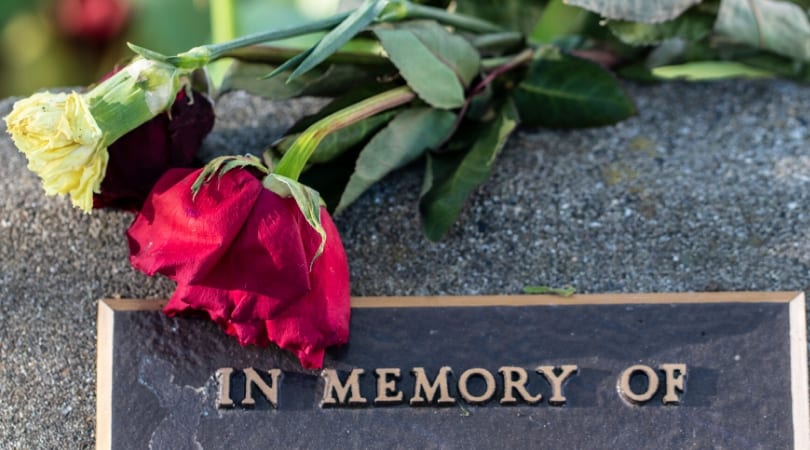 Как проходит коронавирус: 2 прогноза течения Covid-19