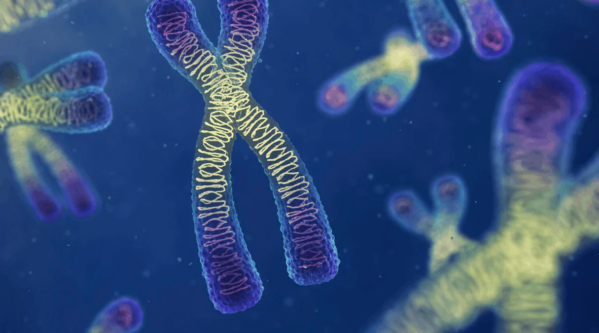 Передается ли рак по наследству?