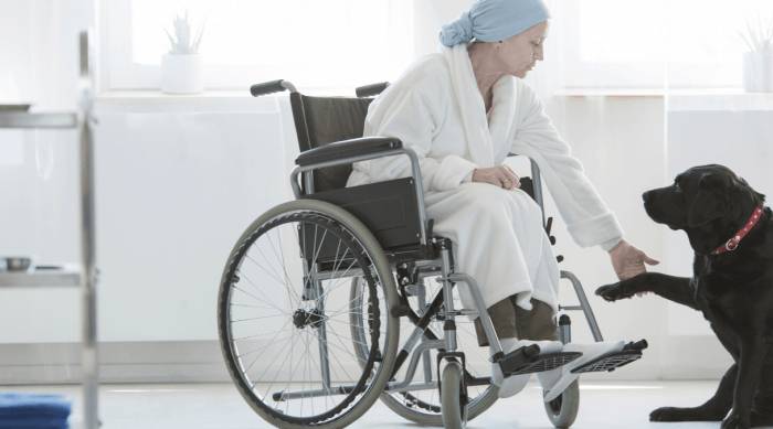 Радиотерапия восстановление Восстановление после радиотерапии