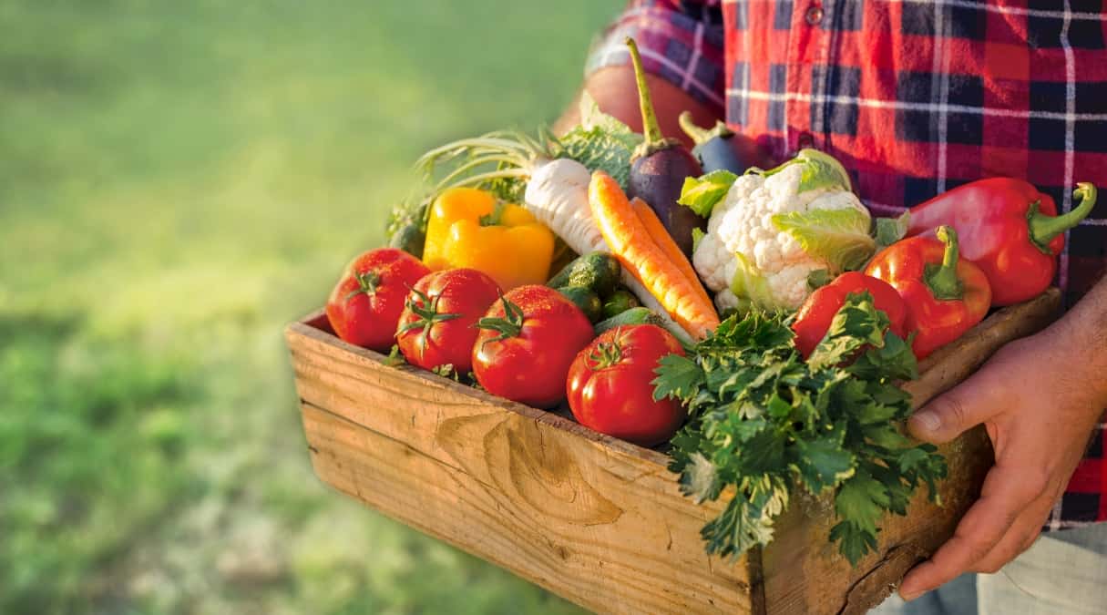 Продукты, полезные для печени и поджелудочной железы