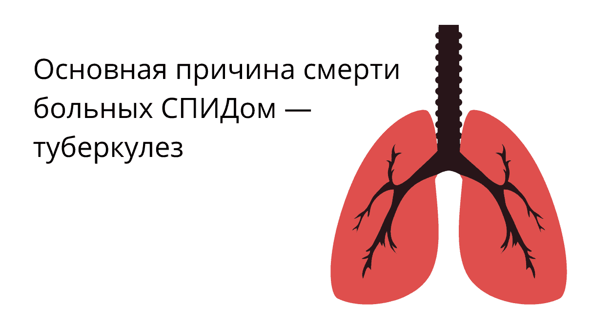 Какие болезни вызывает ВИЧ?