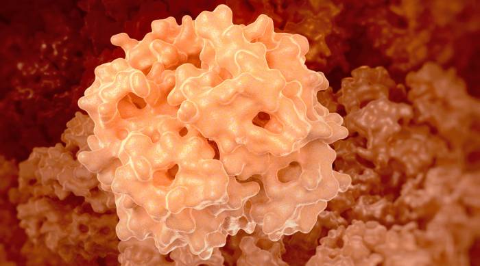 Билирубин: причины повышения и методы лечения