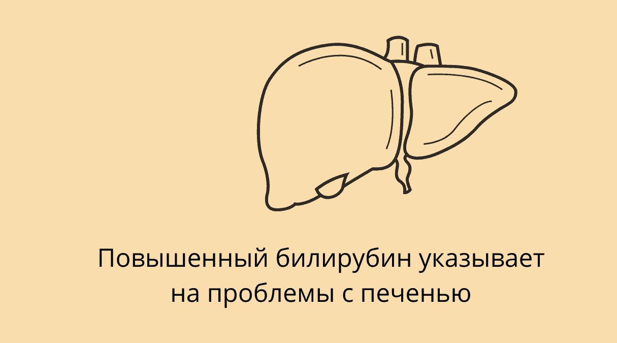 Билирубин: причины повышения и методы лечения