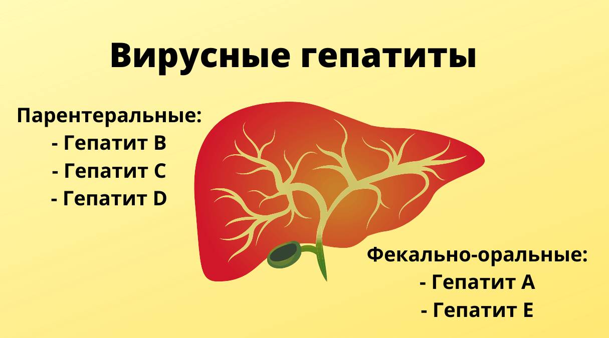 Обзор острых вирусных гепатитов