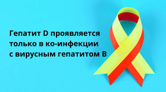 Гепатит Д: причины, особенности и лечение заболевания