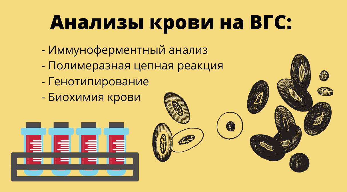 Особенности современных методов лечения ВГС