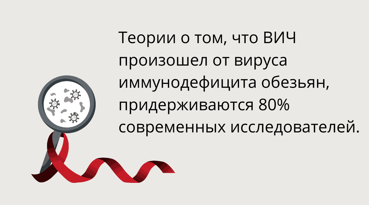 Откуда появился ВИЧ? Главные теории происхождения