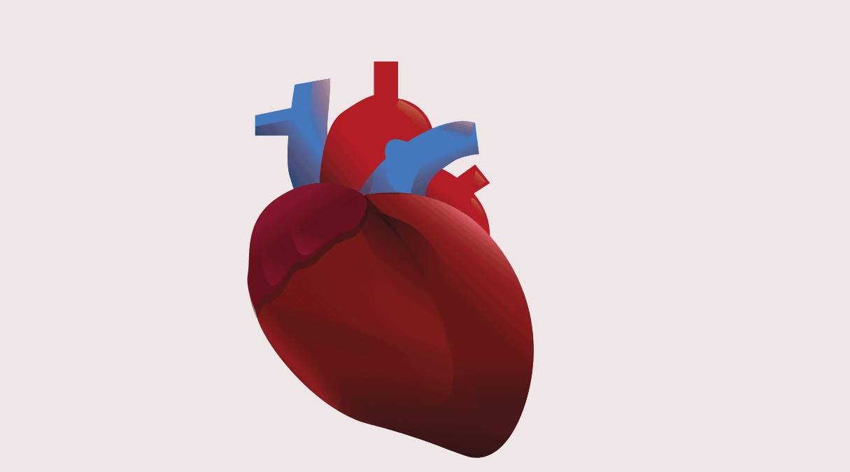 Боли в правом боку: что находится в правом подреберье?