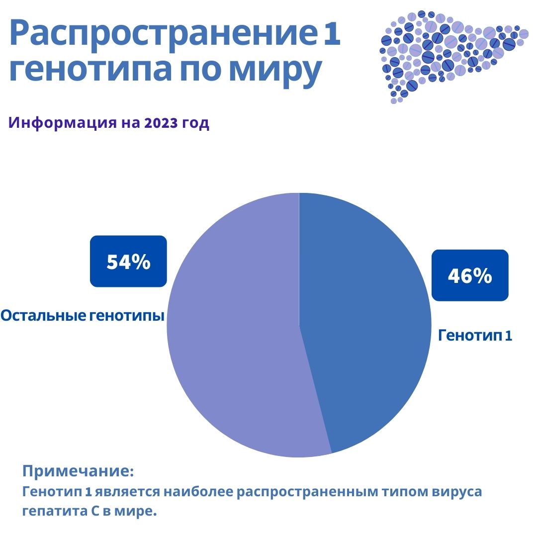 Особенности 1 генотипа вирусного гепатита С