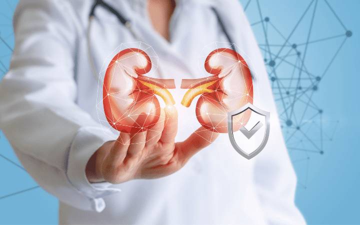 Гепатит С и пересадка почки пересадка почки при ВГС