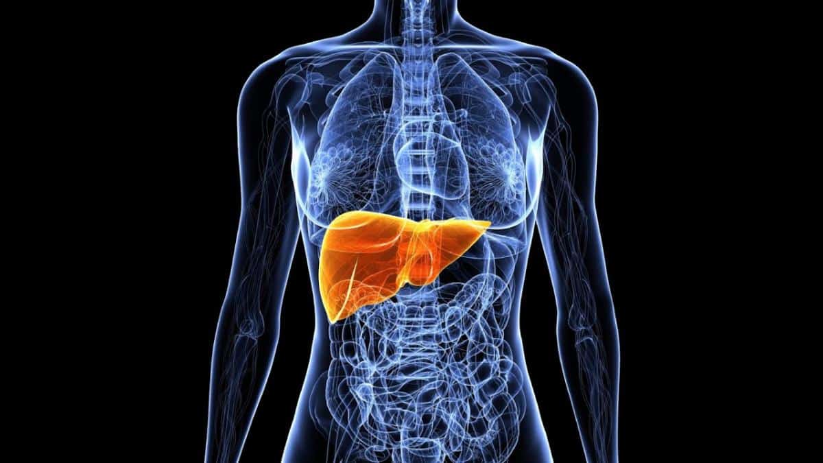 Современные препараты для лечения гепатита С