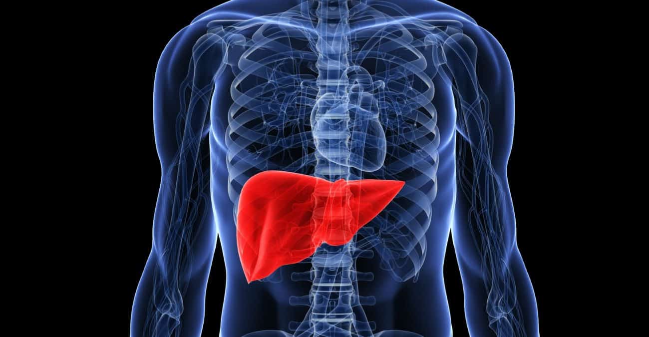 гормон печени гормоны печени