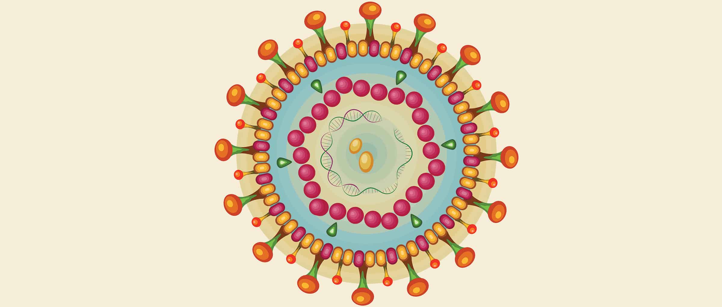 Лечение гепатита С: генотип 3