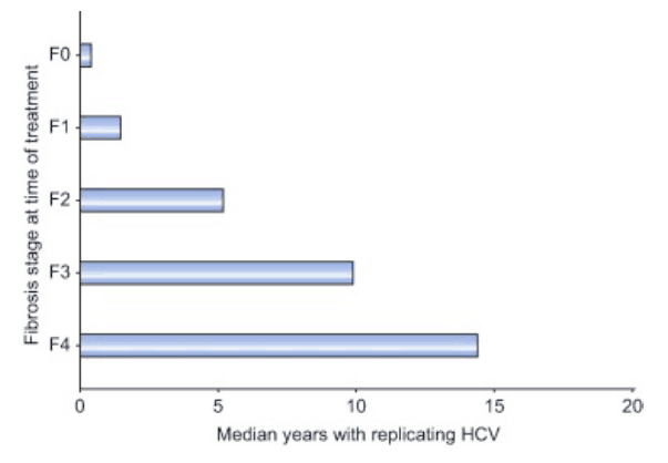 Рисунок 4. Медиана времени, связанная с репликацией ВГС. Рисунок 4. Медиана времени, связанная с репликацией ВГС.