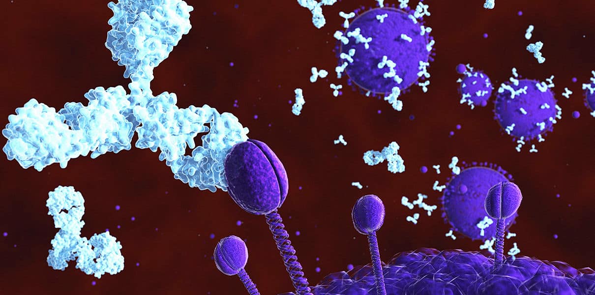 ВГС антитела к вирусу антитела гепатит с