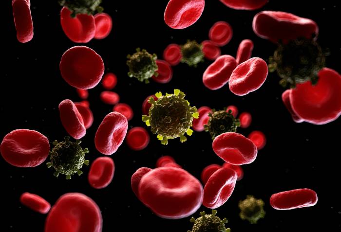 вич-инфекция вич в крови