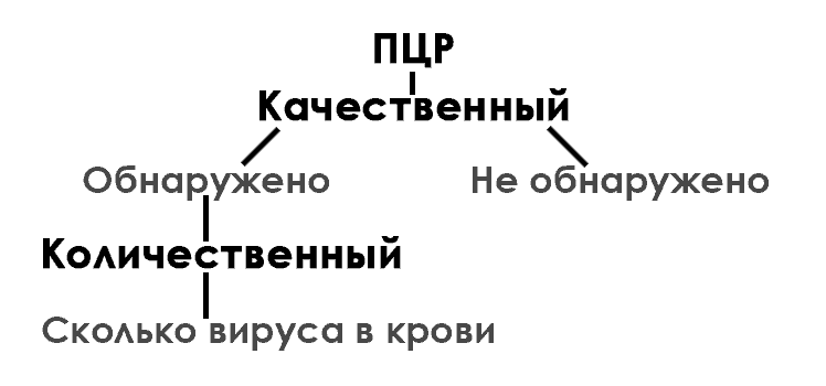 Алгоритм сдачи ПЦР качественного и количественного