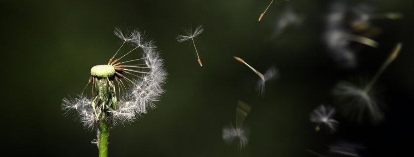 Беременность и ВИЧ: все, что необходимо знать будущей маме