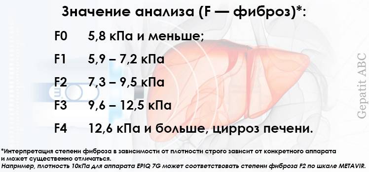 Значения фиброскан Расшифровка фиброскана