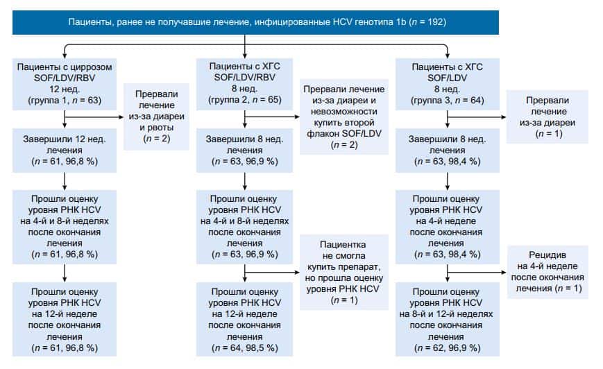 Рис. 1. Распределение пациентов. LDV — ледипасвир; RBV — рибавирин; SOF — софосбувир.