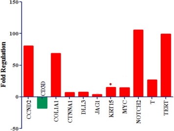 <strong>Рисунок 2.</strong> Гистограмма, представляет экспрессию генов в CD133+ клетках среди пациентов в группе с ГЦК по отношению к контрольной группе. Рисунок 2. Гистограмма, представляет экспрессию генов в CD133+ клетках среди пациентов в группе с ГЦК по отношению к контрольной группе.