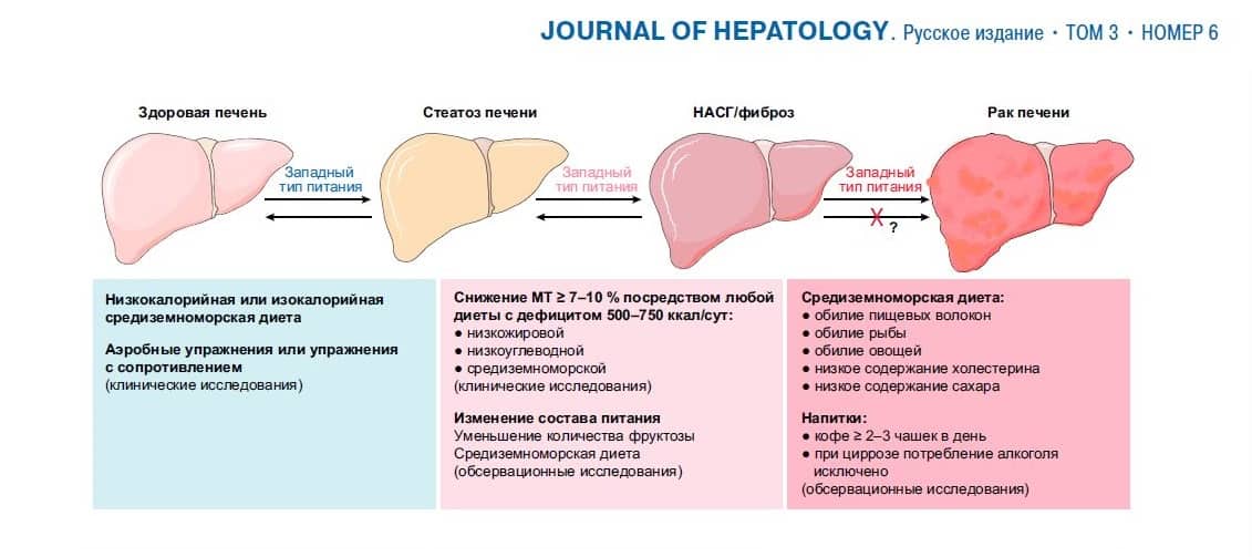 Тип питания и течение НАЖБП