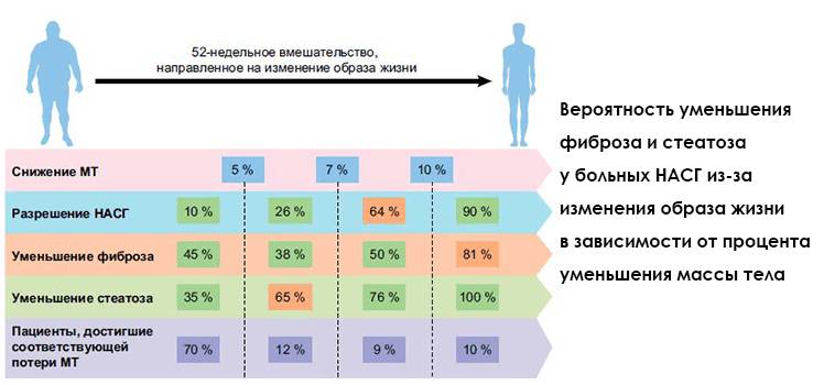Вероятность разрешения НАСГ и уменьшения фиброза (≥ 1 степени) и стеатоза у больных НАСГ под влиянием изменения образа жизни в зависимости от процента уменьшения МТ.
