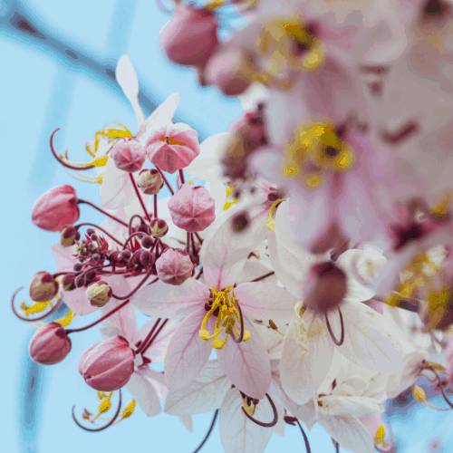 Hepacare Plus: гепатопротектор нового поколения