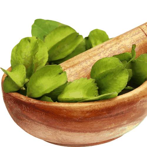 Hepacare Plus: гепатопротектор нового поколения