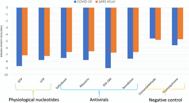 Применения нуклеотидных ингибиторов для ВГС против COVID