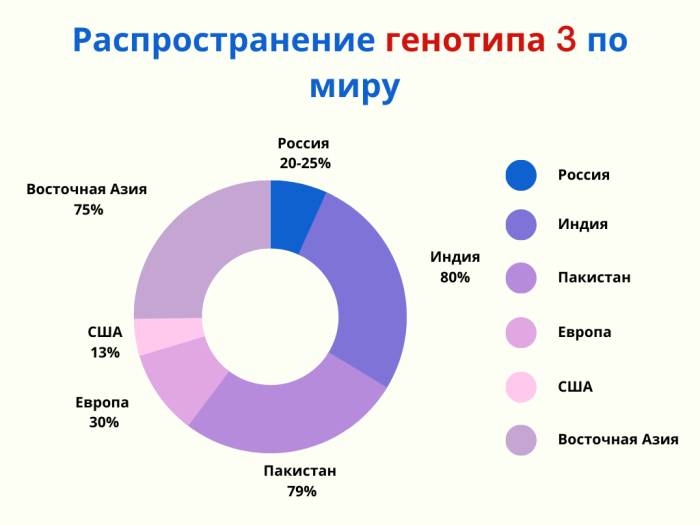 3 генотип вирусного гепатита С: особенности и лечение