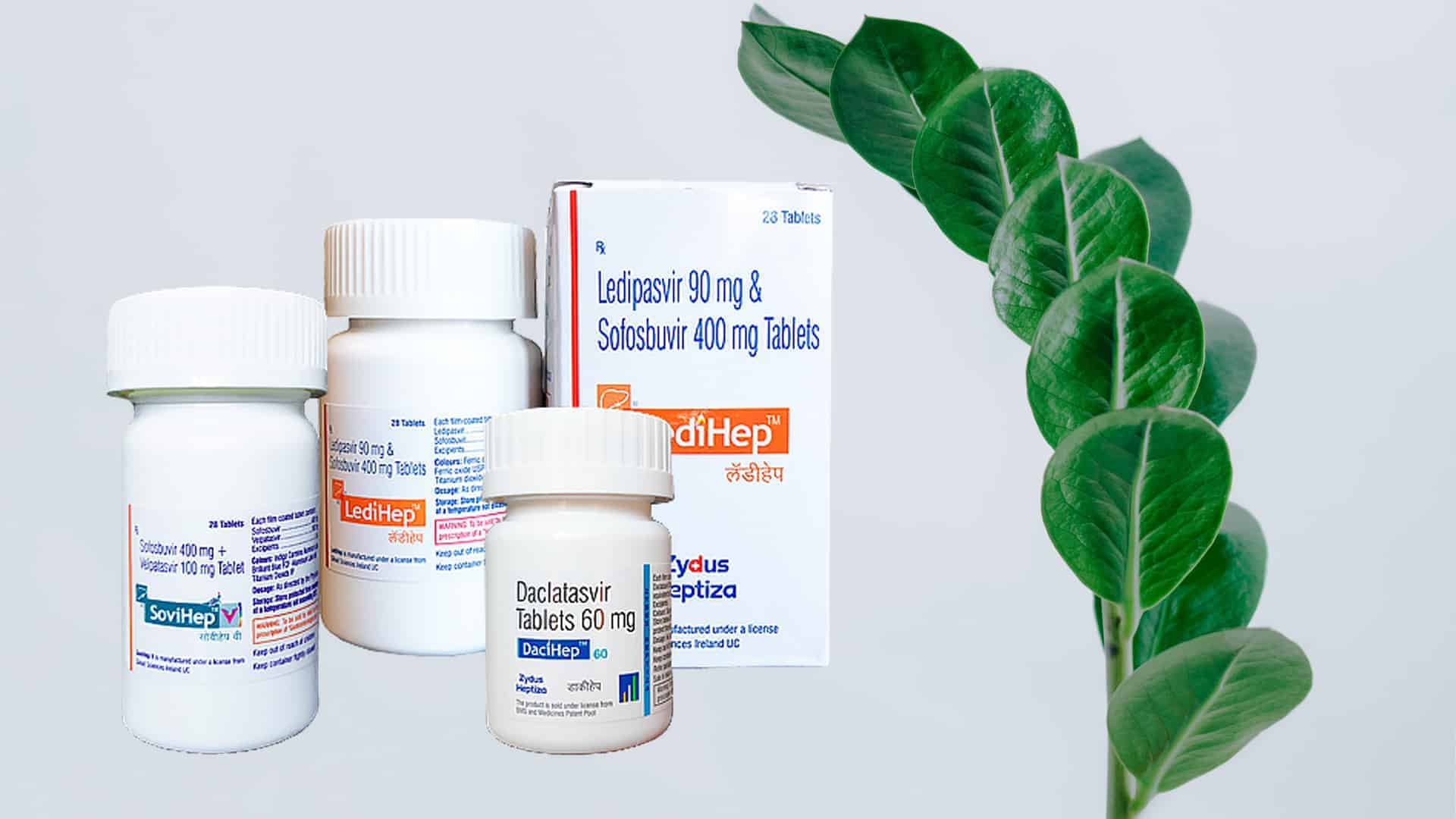 Индийские фармкомпании в России: Zydus Heptiza