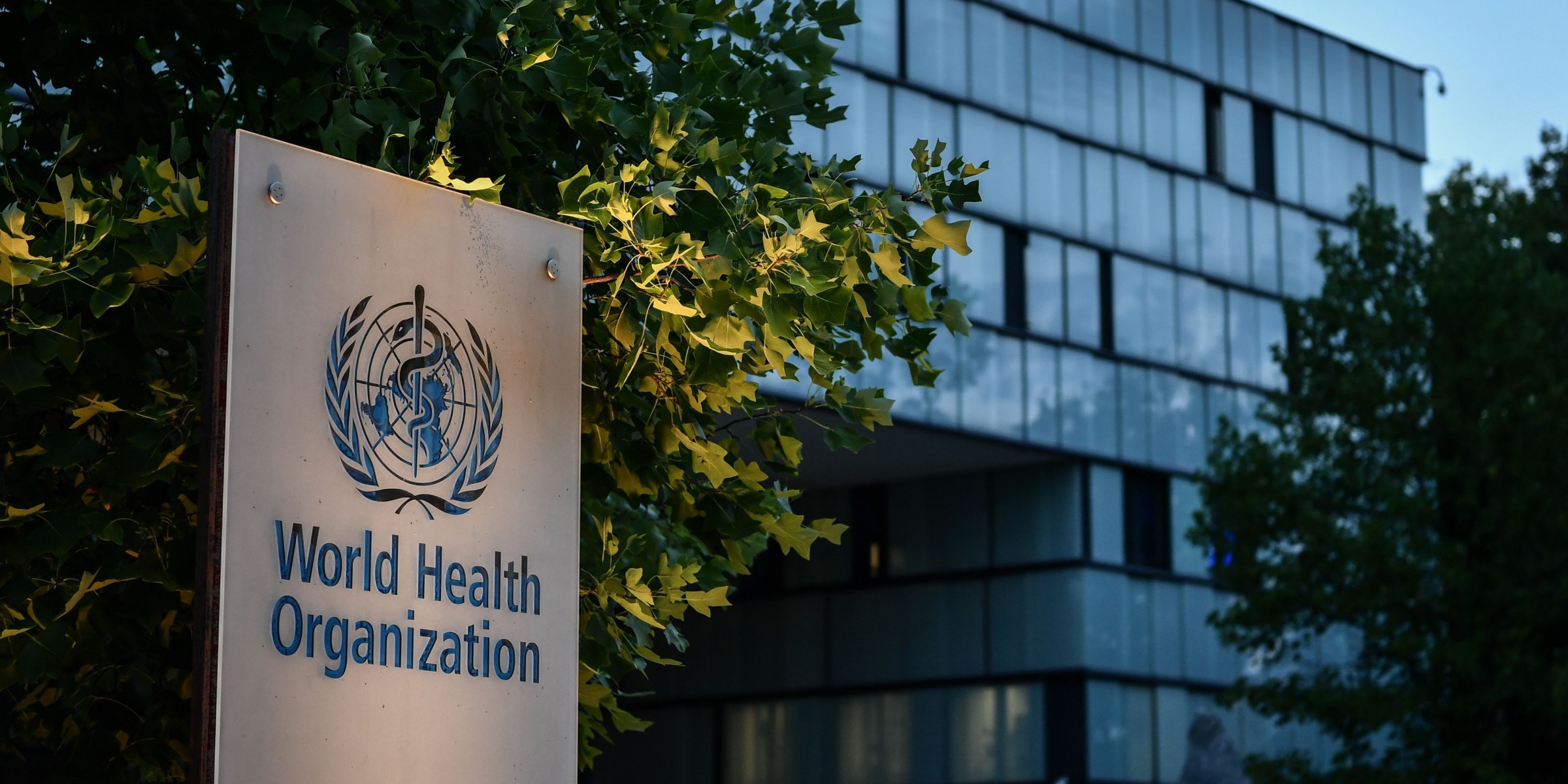 who Отчет о стратегии по борьбе с ВИЧ и ВГС от ВОЗ